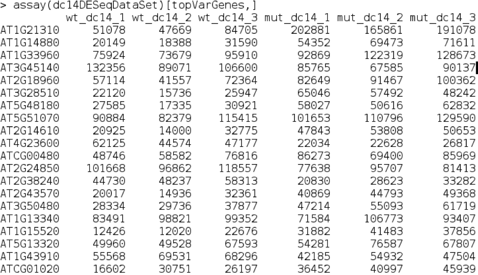 DESeq2 variable