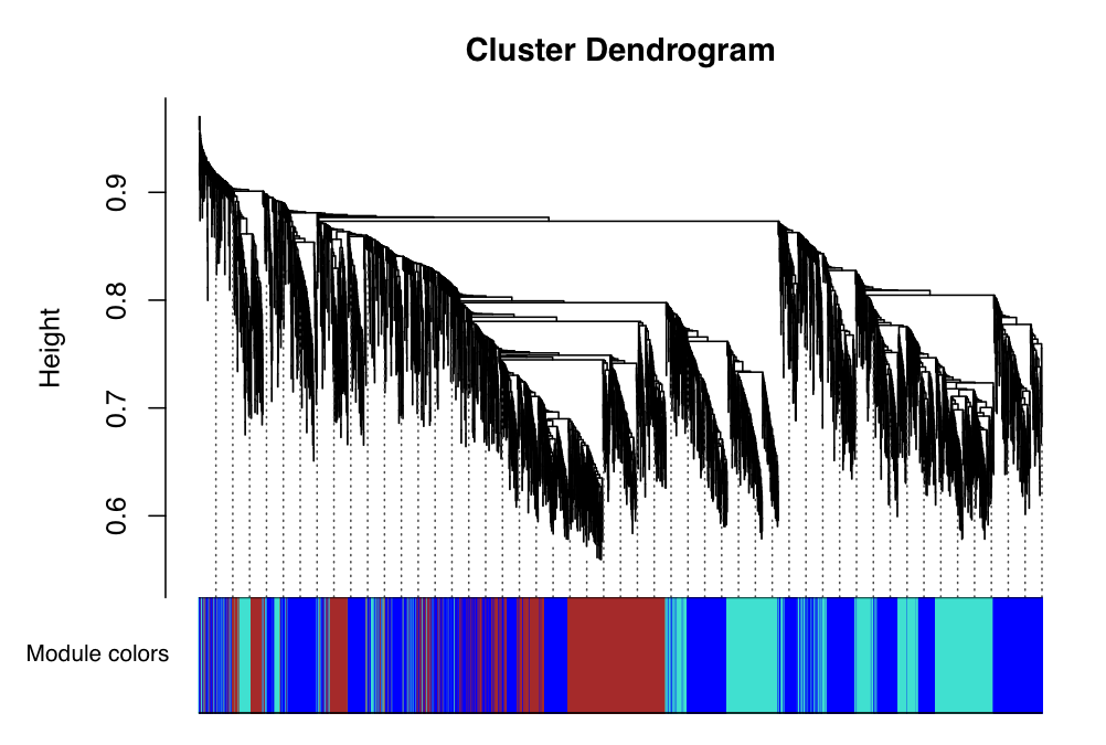 WGCNA 6